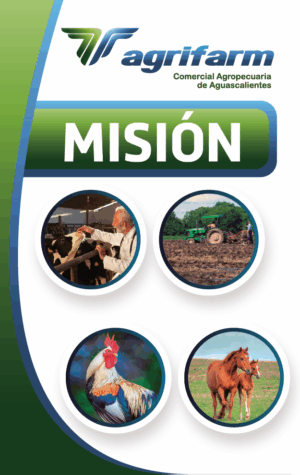 MISION 001
