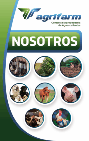 NOSOTROS