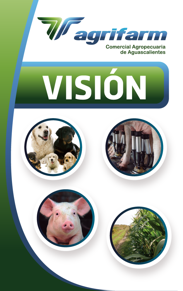 VISION nueva