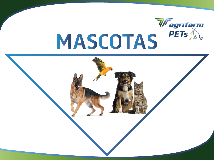 MASCOTAS 400 X 300 pixeles